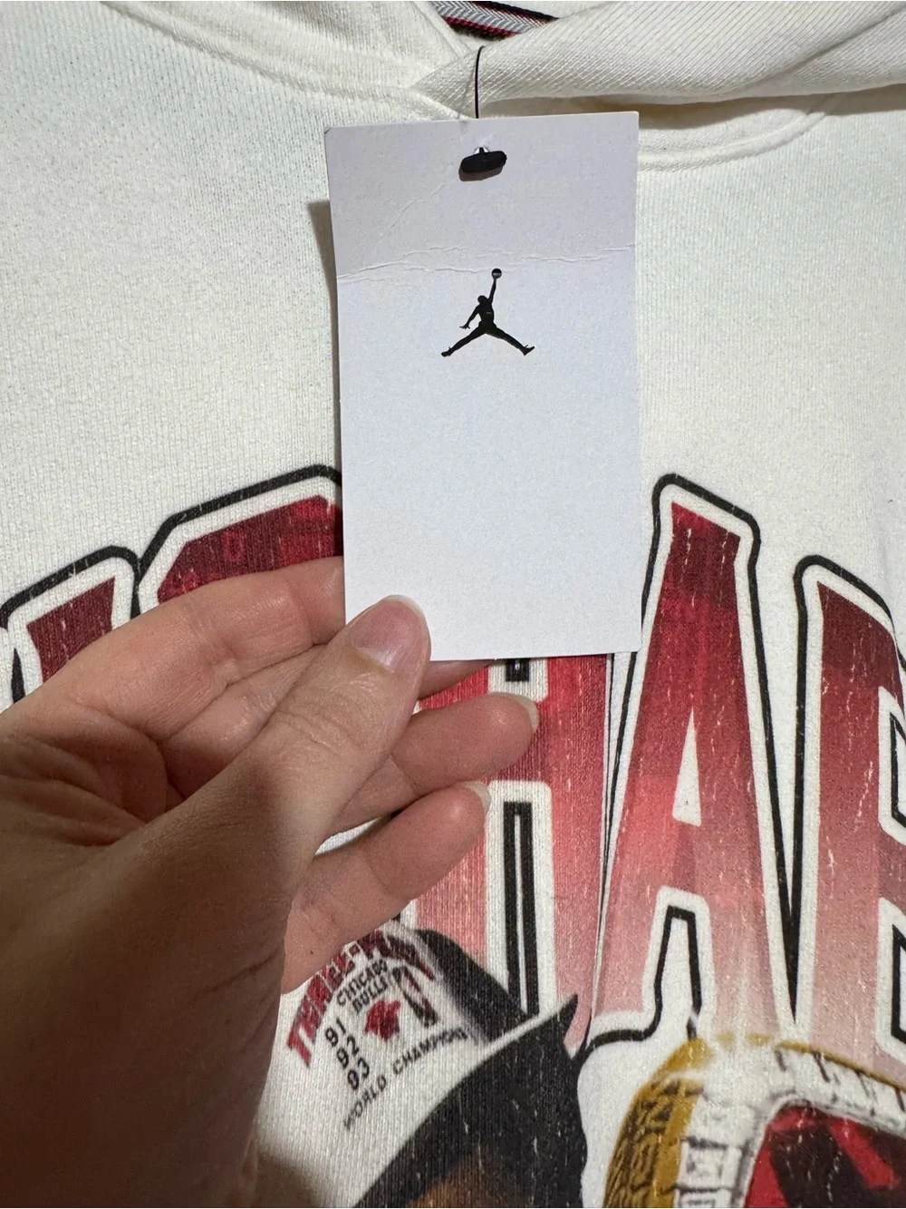 Jordan NWT Flight Fleece Michael Jordan Graphic Hoodie Men Size XXL Streetwear